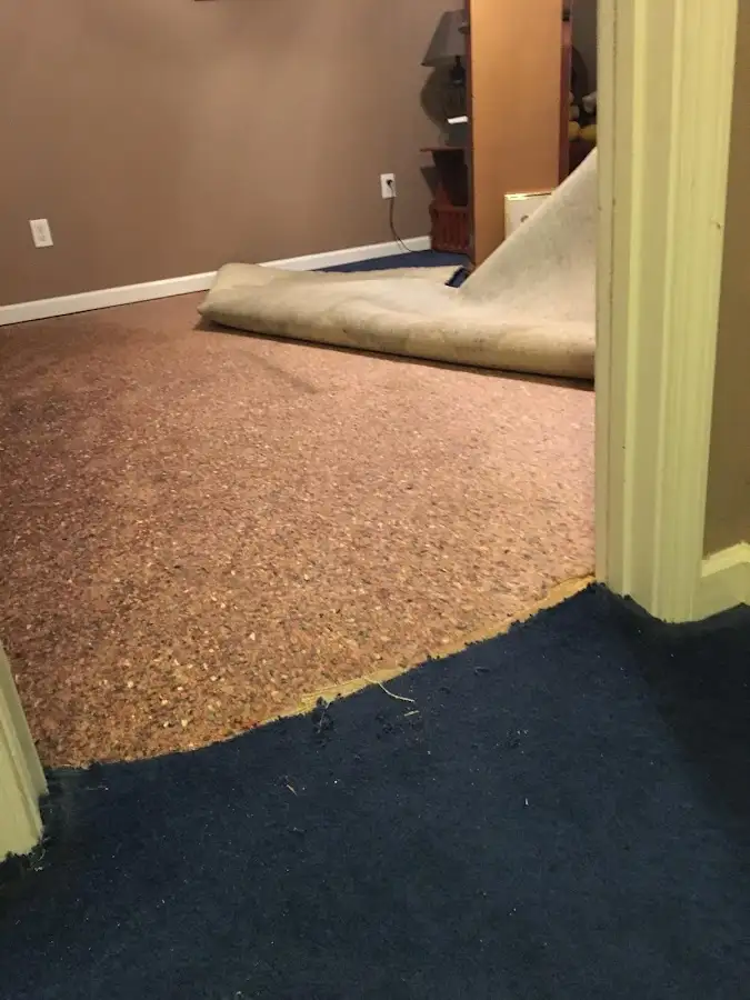 Carpet pad removal revealing water damage during Drying & Dehumidification in Upper Arlington