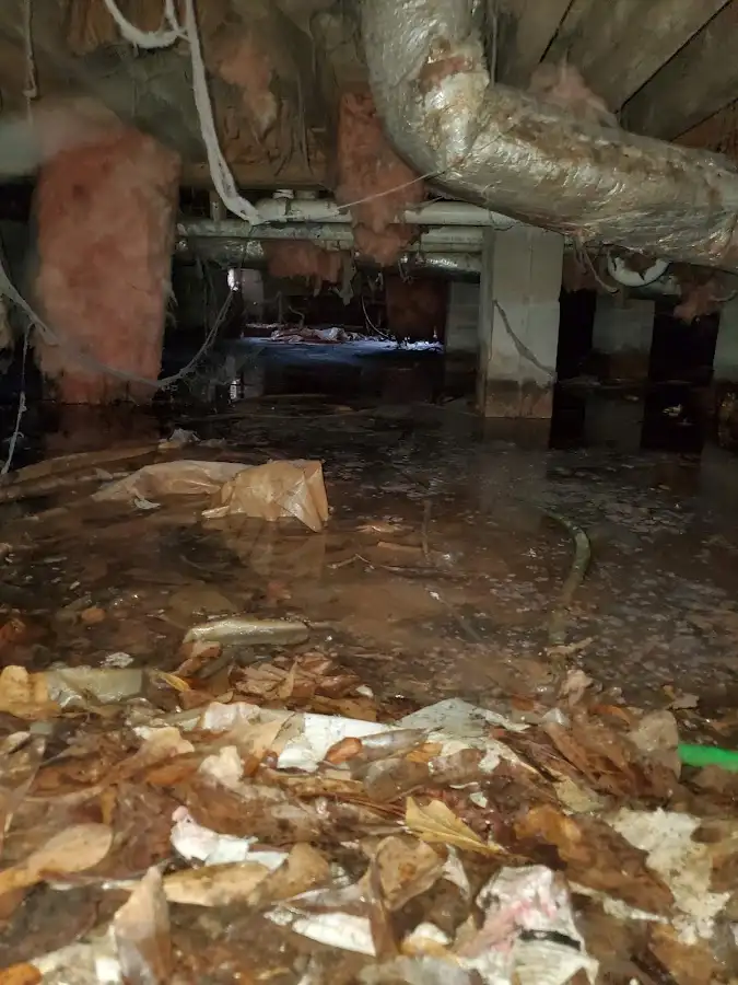 Crawl space flood assessment for Leak Detection & Repair in Upper Arlington